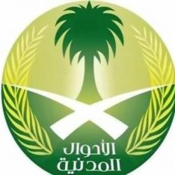 القوات السعودية تقتل 50 حوثياً حاولوا تنفيذ هجمات على جازان ونجران