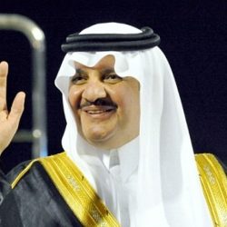 الدكتور الربيعة: المملكة دعمت اليمن بأكثر من 8.5 مليار دولار خلال 26 شهرًا