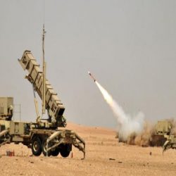 الجيش اليمني يحرر جبل الغنيمي الاستراتيجي في نهم