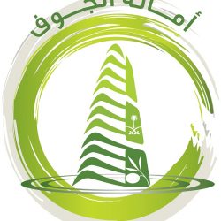 شرطة الرياض: القبض على 3 مواطنين لامتهانهم سرقة المركبات
