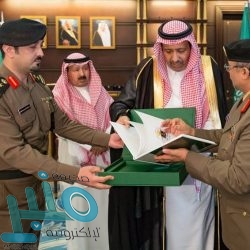 وزير الداخلية يوافق على تعيين أعضاء المجالس المحلية بمحافظات منطقة الجوف