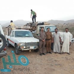 غارات للتحالف تؤدي إلى مقتل 25 من الحوثيين بأرحب.. واستسلام 22 في بيحان