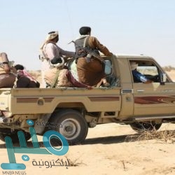 الحكومة اليمنية تؤكد أن جهودها لإقناع المتمردين الحوثيين بوصول فريق أممي إلى ناقلة صافر باءت بالفشل