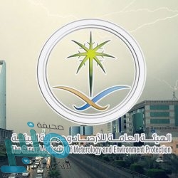 “اللجنة السعودية الإماراتية للتعاون الإعلامي” تناقش آليات التعاون المشترك بين البلدين