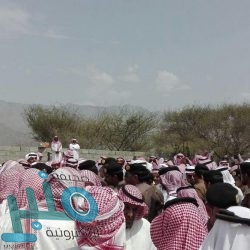 الجيش اليمني يواصل التقدم في البيضاء ‏ويحرر موقعًا استراتيجيًا في قانية