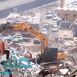 مقتل 35 حوثيا وإصابة 50 آخرين فى غارات للتحالف العربي على محافظة إب