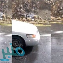 حقيقة مقطع فيديو تعرض امرأة لحادث أثناء قيادة السيارة داخل مكتب تعليم القيادة