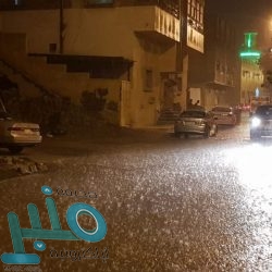 بلدية الخرج تغلق مطاعم بمدينة السيح لمخالفات صحية