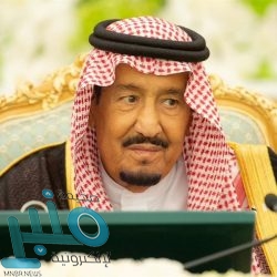 الإنتربول السعودي يسترد مواطناً مطلوباً في قضايا احتيال