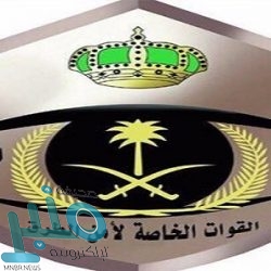 الرئيس اليمني: سنواصل المعركة ونرفع علم الجمهورية على جبال مران قريبا