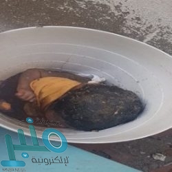 أمير مكة يوجه بالقبض على مصوري جثث التشريح في جامعة المؤسس
