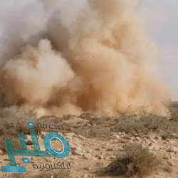 وزارة الدفاع اليمنية تعلن إسقاط طائرتين مسيّرتين لميليشيات الحوثي بـ«أبين»