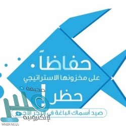 التحالف: اعتراض وإسقاط طائرة بدون طيار أطلقها الحوثيون باتجاه المملكة