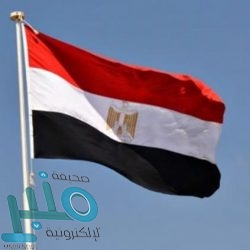 “المالكي”: ما ينشره إعلام الحوثي حول انتصارات مزعومة مجرد مسرحية