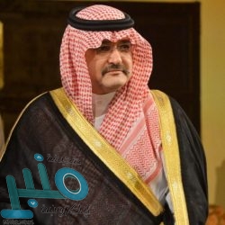 وزير الخارجية يستقبل الأمين العام لجامعة الدول العربية