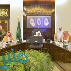 خادم الحرمين الشريفين يستقبل وزير الخارجية الإماراتي