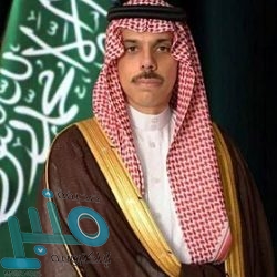 مستشار رئيس الإمارات: المبادرة السعودية فرصة حقيقة ودعوة مخلصة