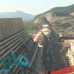 انطلاق السحوبات اليومية في مهرجان العسل بالمجاردة