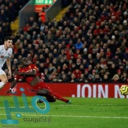 غوغل يعيد تطبيق ”توتوك“.. تكذيب لمزاعم أن الإمارات تستخدمه للتجسس