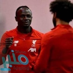 الشاي الأخضر أم الأسود؟.. دراسة تكشف “الأكثر فائدة”