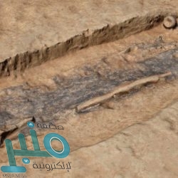 للوقاية من مرض “الزهايمر”.. عليك بهذا النظام الغذائي