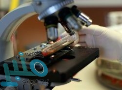 رونالدو يسجل مجددا واليوفي ينفرد بالصدارة بعد عبور روما