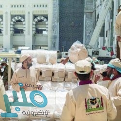 وزير الطاقة : نرغب في سعر مستدامٍ للنفط