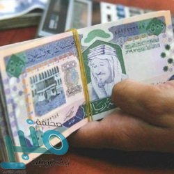 “البيئة” تبدأ تأهيل الشركات لتقديم خدمات المكافحة الميدانية لسوسة النخيل الحمراء