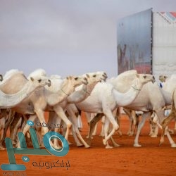 رئيس أوكرانيا يطالب إيران بالتعويض وكشف المتورطين بإسقاط الطائرة الأوكرانية