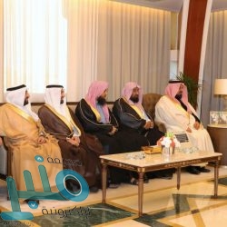 الجيش اليمني يستهدف تعزيزات حوثية شمال نهم