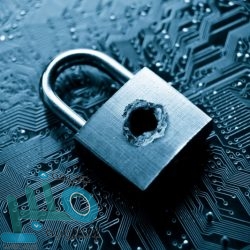 مصرع 7 حوثيين في تعز