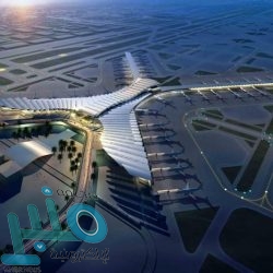 “البيئة” تستكشف وتكافح الجراد الصحراوي في 5 مناطق