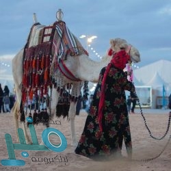 خادم الحرمين يرأس جلسة مجلس الوزراء .. ويصدر عددًا من القرارات