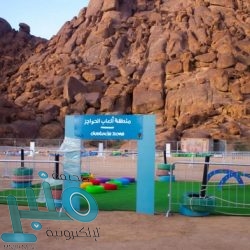 كيف يمكن للمناشف أن تتحول إلى خطر “قاتل”؟