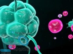 بـ10 لاعبين.. آرسنال يخطف تعادلا قاتلا من تشيلسي في الدوري الإنجليزي