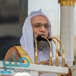 “البيئة” تستكشف وتكافح الجراد الصحراوي في 5 مناطق