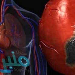 تسريب جديد يكشف مواصفات هاتف هواوي P40 الذكي