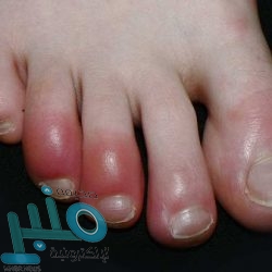 تعرف على أجهزة آبل التي ستعمل بنظام iOS 14