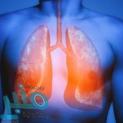 الكشف عن أسرع «باوربانك Flash» في العالم.. تعرف على مواصفاته