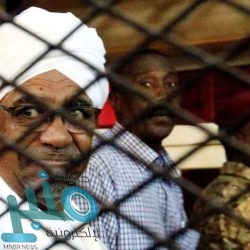 أساءت لأهالي بريدة.. الحكم على سيدة بالسجن 8 أشهر