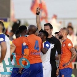 «وزير العمل» يصدر قراراً وزارياً بتوطين عدد من الأنشطة والمهن في حائل