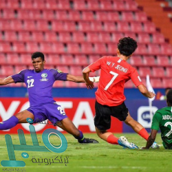 مقتل 3 مدنيين وإصابة 7 آخرين في قصف حوثي لسوق شعبي