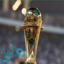 وزير الخارجية يلتقي نظيره الأردني