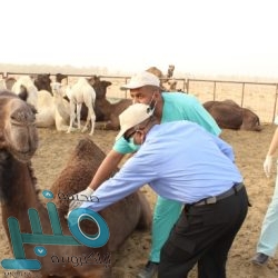 اليوم.. النصر والتعاون يتصارعان على اللقب الأول للسوبر السعودي