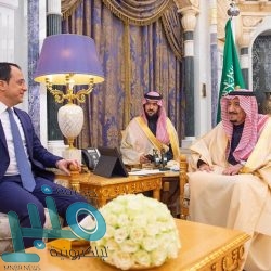 ” البيئة” ترفع حظر استيراد المواشي الحية من إسبانيا وألبانيا