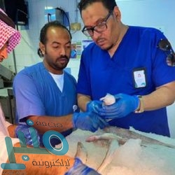 خادم الحرمين يرأس جلسة مجلس الوزراء .. ويصدر عددًا من القرارات والترقيات