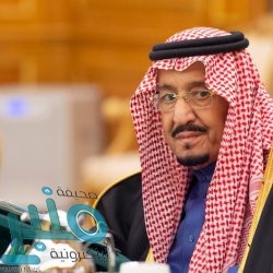 أمانة العاصمة المقدسة تبدأ حملة تصحيحية مكثفة على محال بيع اللحوم والأسماك