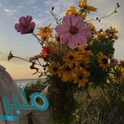 تويتر يطلق خاصية تتيح اختيار من يقوم بالرد على التغريدات