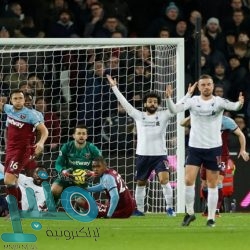 خطة “مبتكرة” لإنقاذ فيل سقط في قعر بئر