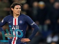 يتضمن مميزات عديدة.. تحديث جديد لتطبيق «واتساب»